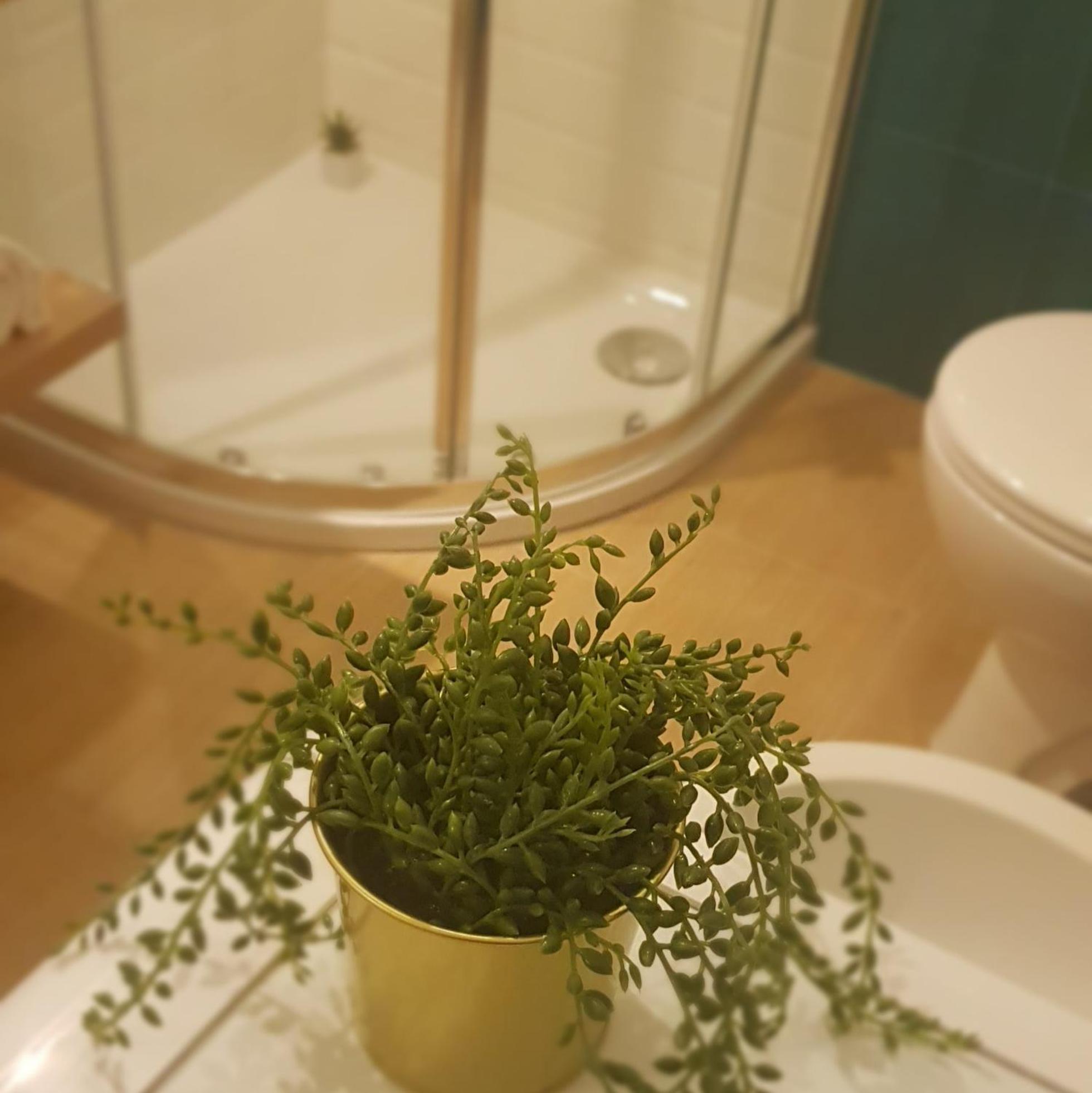 Arca Conte Rosso Apartments Mestre Phòng bức ảnh